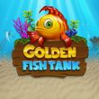 Cược Golden Fish Tank