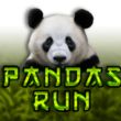 Cược Pandas Run