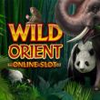 Cược Wild Orient